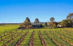 161 Stoney Creek Road, Mudgee, NSW 2850