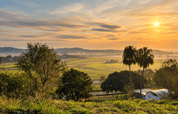 53 Ridgewood Drive, Farleigh, Qld 4741