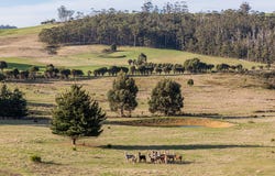 2453 Arthur Highway, Copping, Tas 7174