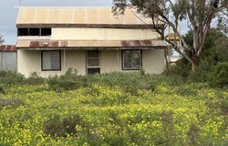 298 Railway Terrace, Coonamia, SA 5540
