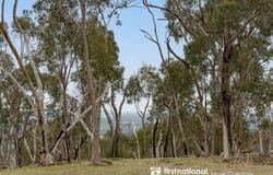 188 Pauls Lane, Dixons Creek, Vic 3775
