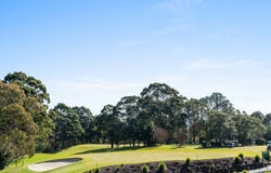 6 Niblick Avenue, Roseville, NSW 2069