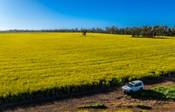 298 Eumungerie Road, Narromine, NSW 2821