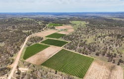 831 Stanthorpe-Inglewood Road, Pikedale, Qld 4380