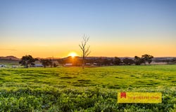 47 Adams Lead Road, Gulgong, NSW 2852