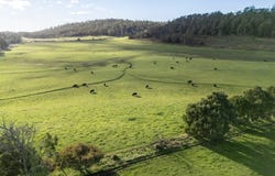290 Batman Highway, Sidmouth, Tas 7270