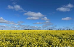 207 Wilgaroi Road, Bellata, NSW 2397