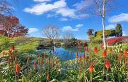 188  Fountaindale Road, Robertson, NSW 2577