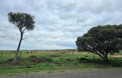 Lot 112 Bowmann Street, Wellington, SA 5259