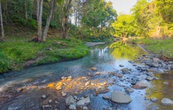 392 Diamond Valley Road, Mooloolah Valley, Qld 4553