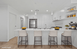93 Liz Kernohan Drive, Elderslie, NSW 2570