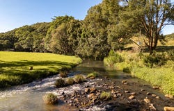192 Friday Hut Road, Tintenbar, NSW 2478
