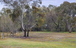 449 Kremur Street, West Albury, NSW 2640