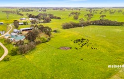 Mingbool Road, Mingbool, SA 5291