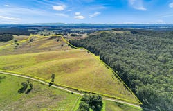56 Ainsworth Road, Mongogarie, NSW 2470