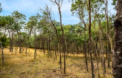 Lot 1 Yarlington Road, Colebrook, Tas 7027