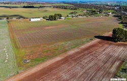 43 Hempel Road, Daveyston, SA 5355