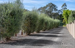 89A Ryalls Lane, Strathfieldsaye, Vic 3551