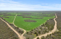 157 Coombs Road, Yeelanna, SA 5632