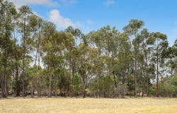 Stage 2C Preston River Rise, Boyanup, WA 6237