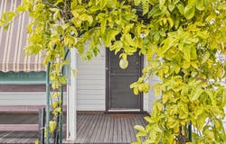 8 Church Street, Rutherglen, Vic 3685