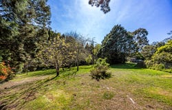19 Woodland Close, Aldgate, SA 5154