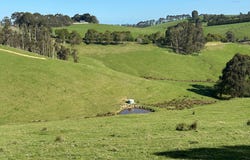 625 Boorool Road, Berrys Creek, Vic 3953