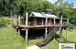 2529 Cape Tribulation Bloomfield Rd, Bloomfield, Qld 4895