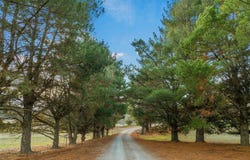 553 Boutchers Drive, Yass River, NSW 2582