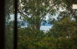 8A Collins Street, Merimbula, NSW 2548