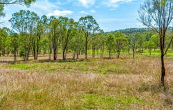 405 Wide Bay Highway, Kilkivan, Qld 4600