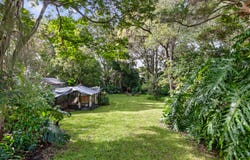 31 Nurstead Street, Camp Hill, Qld 4152