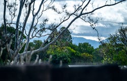 9B Funda Close, Bellingen, NSW 2454