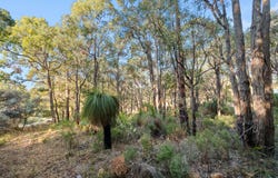 36 Johnston Street, Mount Helena, WA 6082