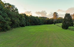 56 Spalls Road, Diddillibah, Qld 4559