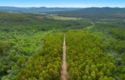18 Ryans Road, Bonalbo, NSW 2469