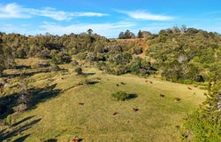 LOT 2 Maleny Kenilworth Road, Witta, Qld 4552