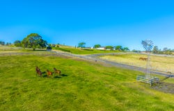 2620 Rosewood-Warrill View Road, Coleyville, Qld 4307