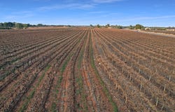 57 Old Sturt Highway, Barmera, SA 5345