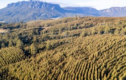 220 Holmes Road, Roland, Tas 7306