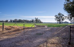 2594 Bedgerabong Road, Forbes, NSW 2871
