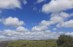 34 Talbot Grove, Gawler East, SA 5118