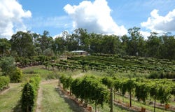 86 Simpsons Road, Bullyard, Qld 4671