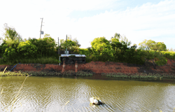 4174 Goodwood road, Alloway, Qld 4670