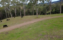 318 Scone Road, Gloucester, NSW 2422