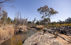 250 Springwood Park Road, Gulgong, NSW 2852