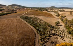 453 Springton Road, Pewsey Vale, SA 5351