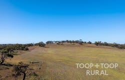 Oaklands Road, Dutton, SA 5356