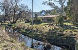 361 Vermont Road, Ravenswood, Tas 7250
