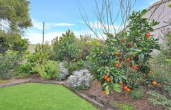 23 Prowse Street, Rockville, Qld 4350